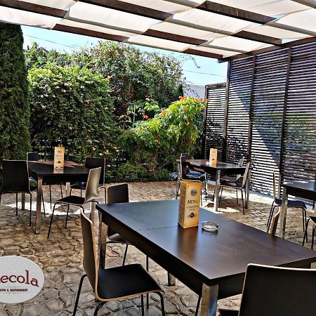 International Recola Motel Băneşti Eksteriør billede